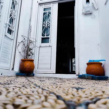 Stam Luxury Traditional House *