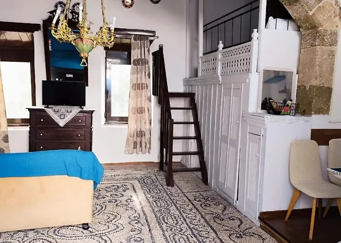 Stam Luxury Traditional House